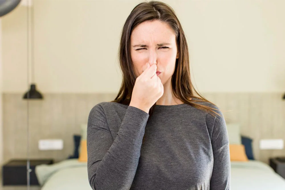 Sewer Smells In Your House: Causes And What Should You Do?